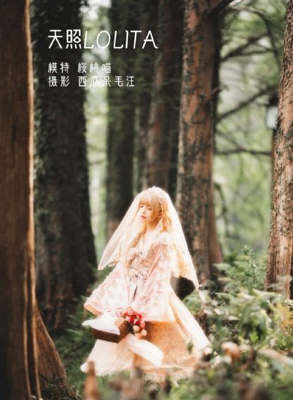 精品一区二区三区影院_高清天堂在线